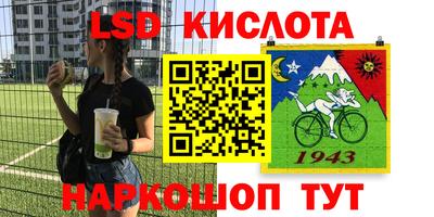 крисы Ирбит