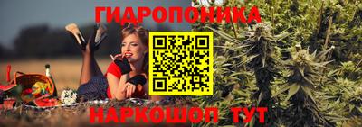 крисы Ирбит