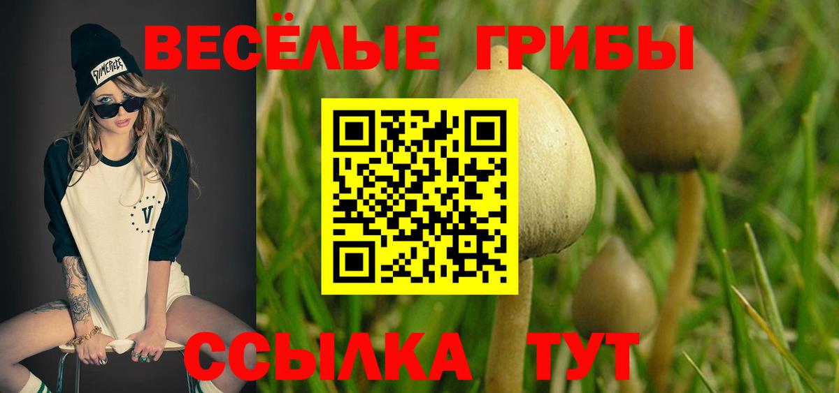 Псилоцибиновые грибы Psilocybine cubensis Красноармейск